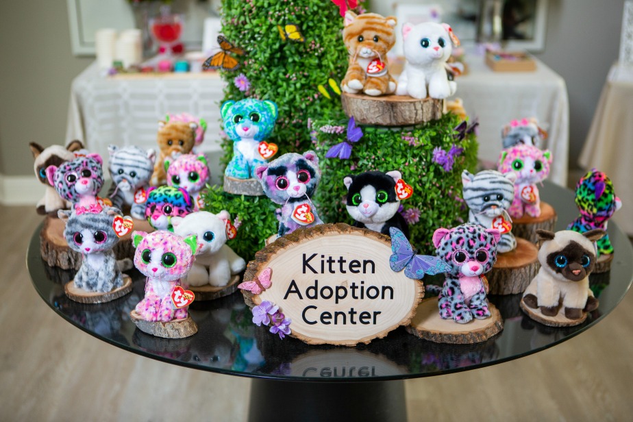 Stuffed animal toy adoption display